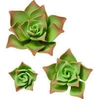 Green Gumpaste Succulent Flower Set - 4" 3" 1.5" SET OF 12