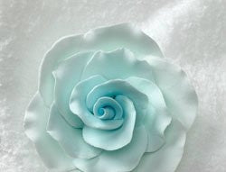 Formal Rose - Pastel Blue