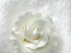 Formal Rose - White
