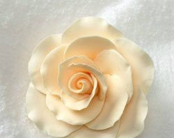 Formal Rose - Cream