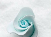 Rosebud - Open - Pastel Blue