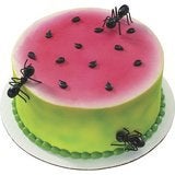 Ants Cake / Cupcake Layons - 12 pk Cupcakes Bugs Black Ants